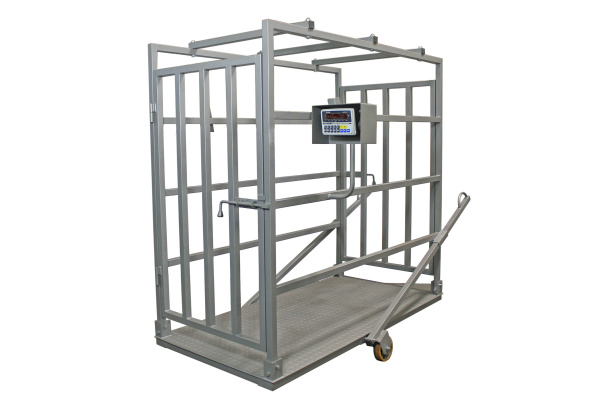 Платформенные весы СКЕЙЛ СКП для взвешивания животных купить по низкой цене | МАКСПРОФИТ