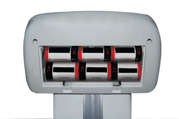 Весы CAS DL-200 купить по низкой цене | МАКСПРОФИТ