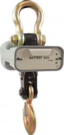 Весы CAS 1 THA (Caston 1) купить по низкой цене | МАКСПРОФИТ Весы CAS 1 THA (Caston 1) купить по низкой цене | МАКСПРОФИТ